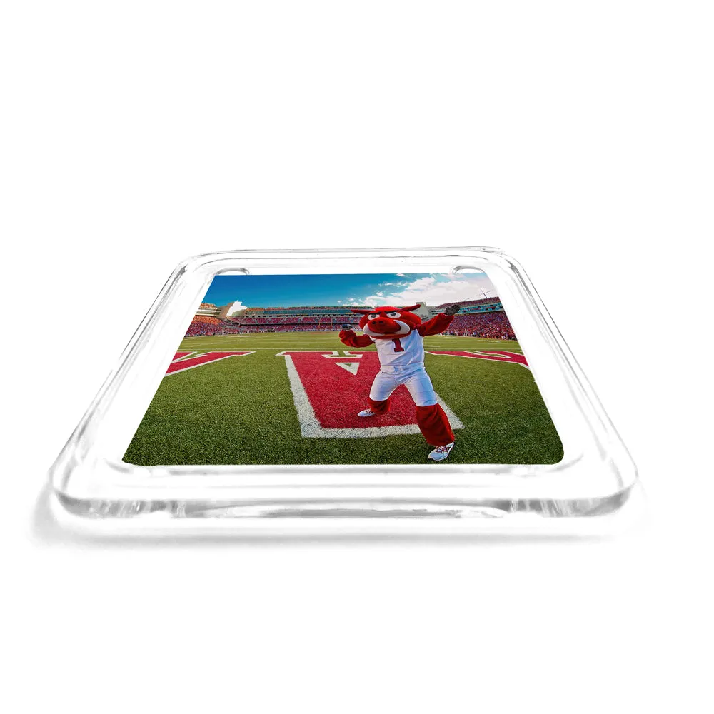 Arkansas Razorbacks - Big Red End Zone Drink Coaster