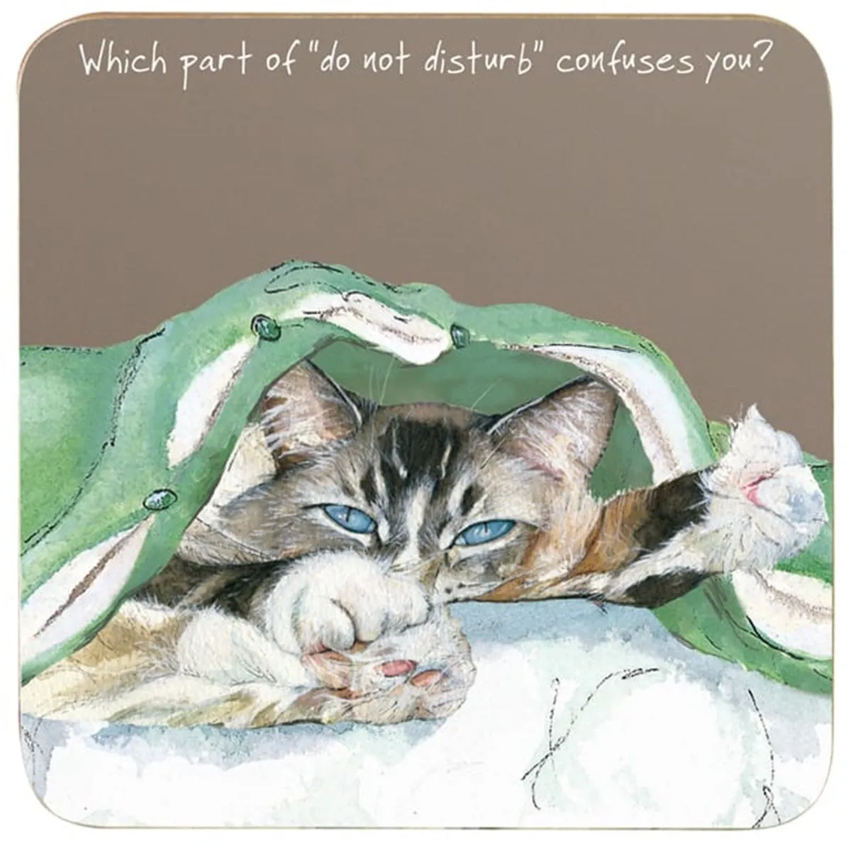 Cat Coaster - Confuses You "Which part of "do not disturb" confuses you?"