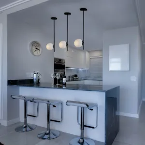 Clh104 Glass Globe Black Ceiling Light
