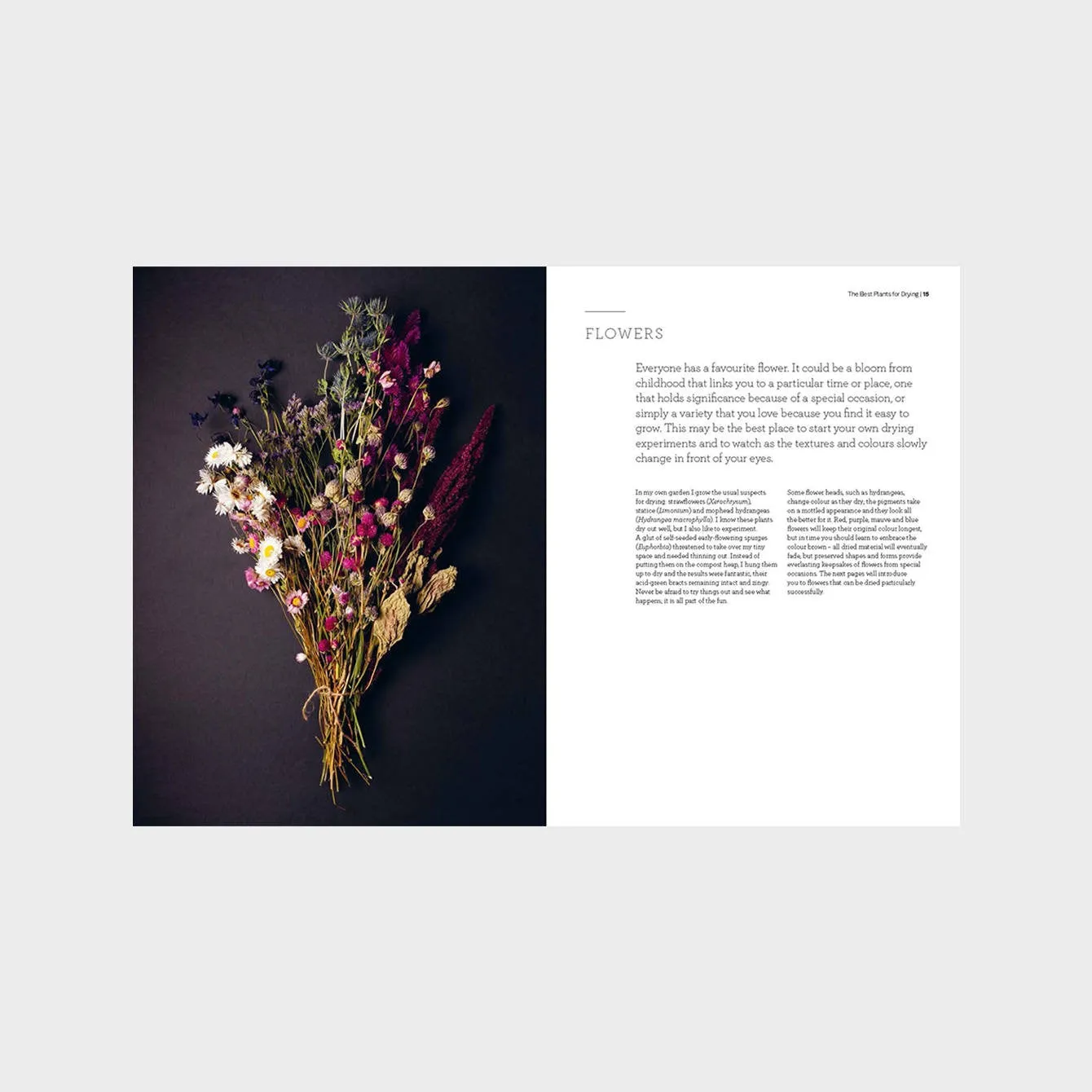 Cut & Dry: The Modern Guide to Dried Flowers from Growing to Styling