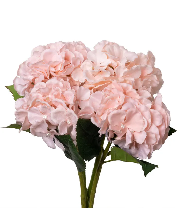 French hydrangea  Light Pink- Set of 2