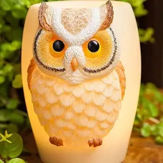 Hummingbird & Trumpet Flower Night Lamp Or Owl Lamp