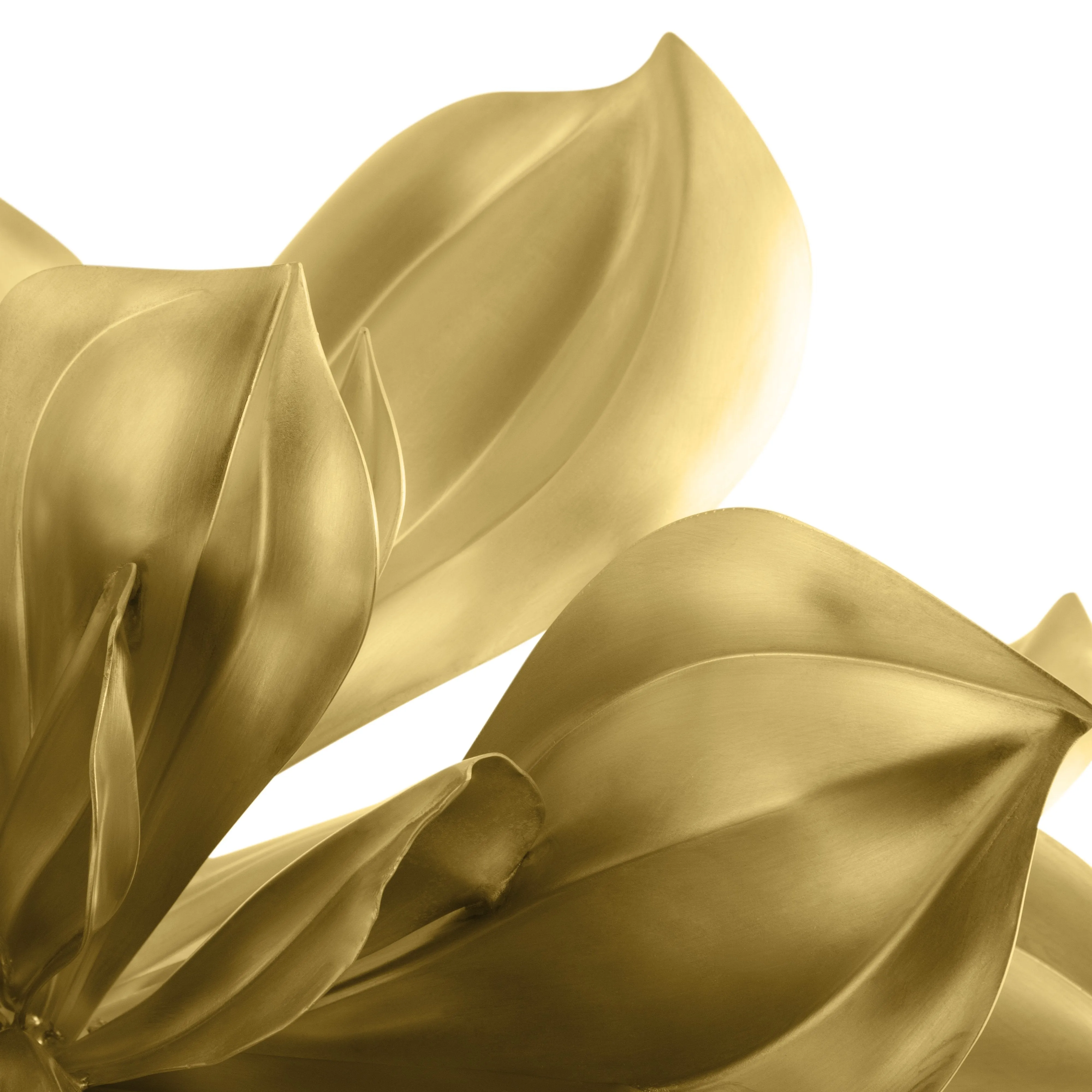 Magnolia Object