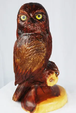 Owl