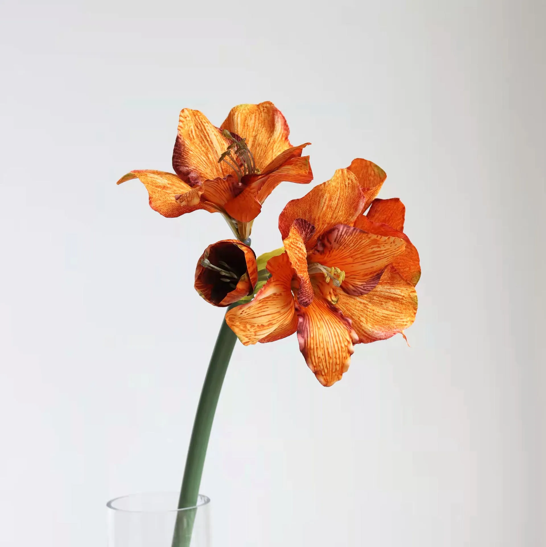 Premium Velvet Amaryllis Stem