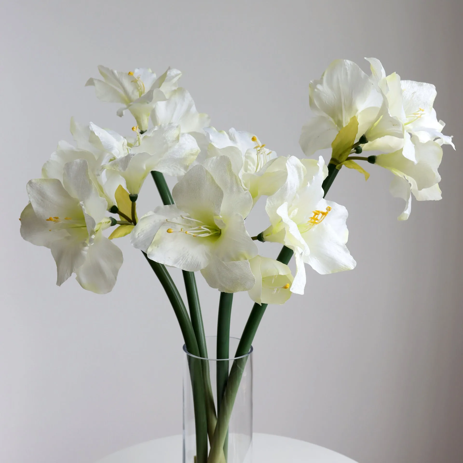 Premium Velvet Amaryllis Stem