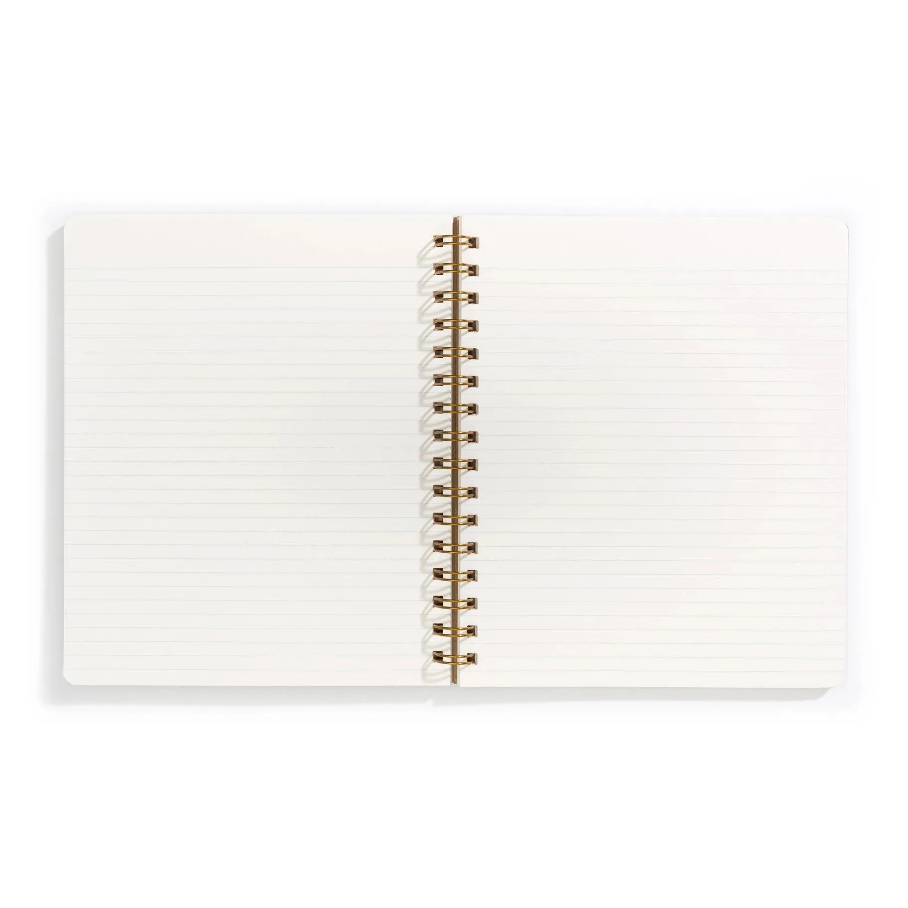 Standard Notebook (Hot Dog)