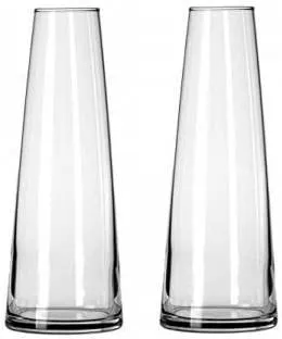 Vikram Glass Vase Tapered (30cmx9cmx5.5cm, Clear) Pack of 1 (Clear)