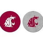 Washington State Sandstone Thirsty Car Coaster 2-Pack