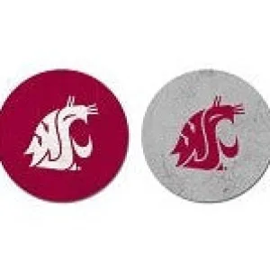 Washington State Sandstone Thirsty Car Coaster 2-Pack
